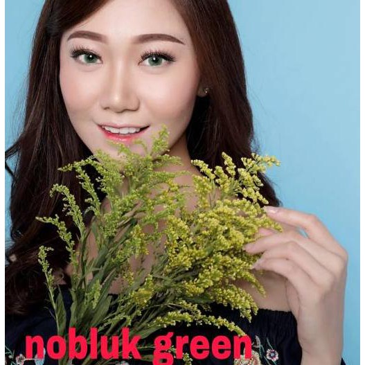 ▼ SOFTLENS DREAMCOLOR NOBLUK  -  SOFTLENSE DREAMCON NOBLUK ➨