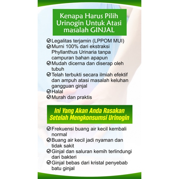 URINOGIN Herbal Kesehatan Ginjal Kencing Batu Peluruh Batu Ginjal