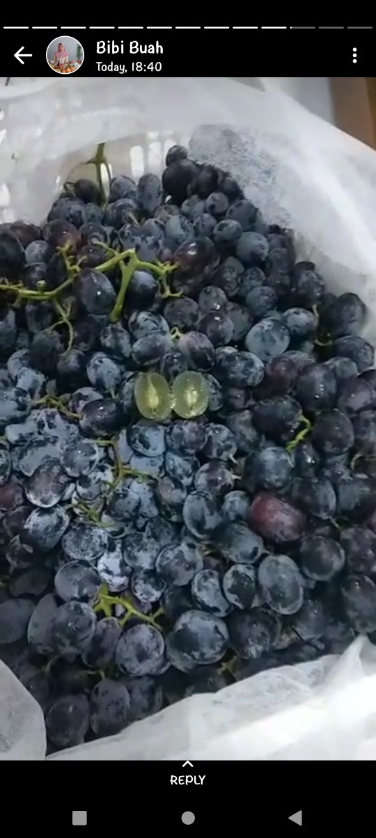 Tissue Tisue Tissu Tisu Nice 900/nice 900 Gr Gram 2 Ply Termurah