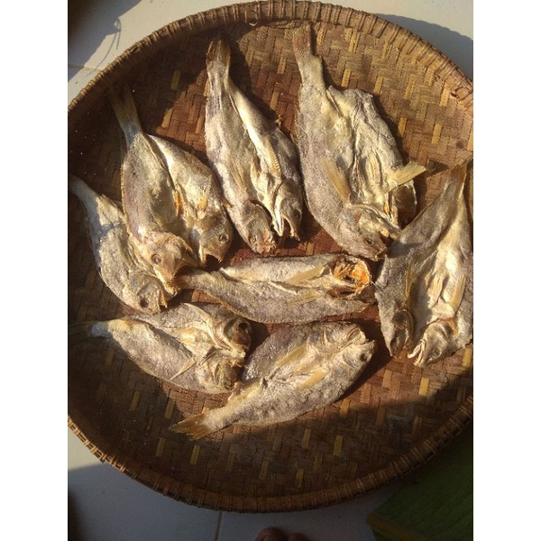 

Ikan Montok Kering Asin/500gr Terbaik