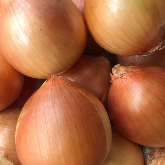

Bawang bombai