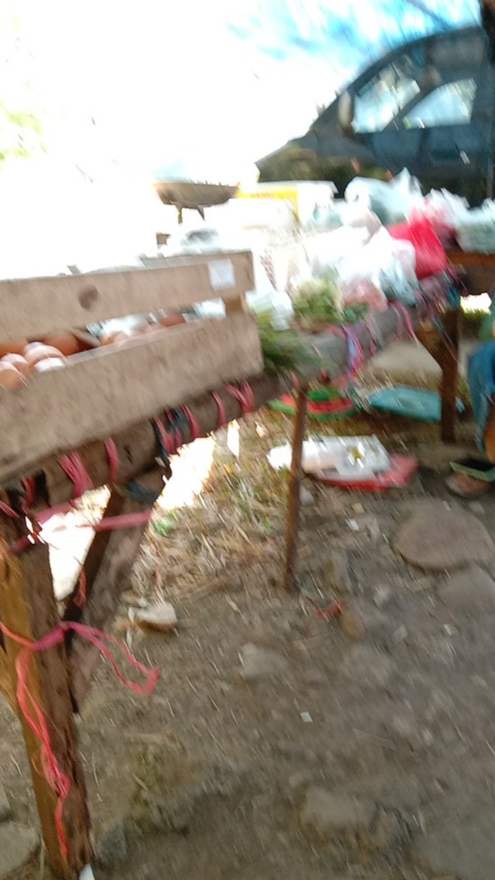 Plastic Wrap Best Fresh 30 Cm/12inches