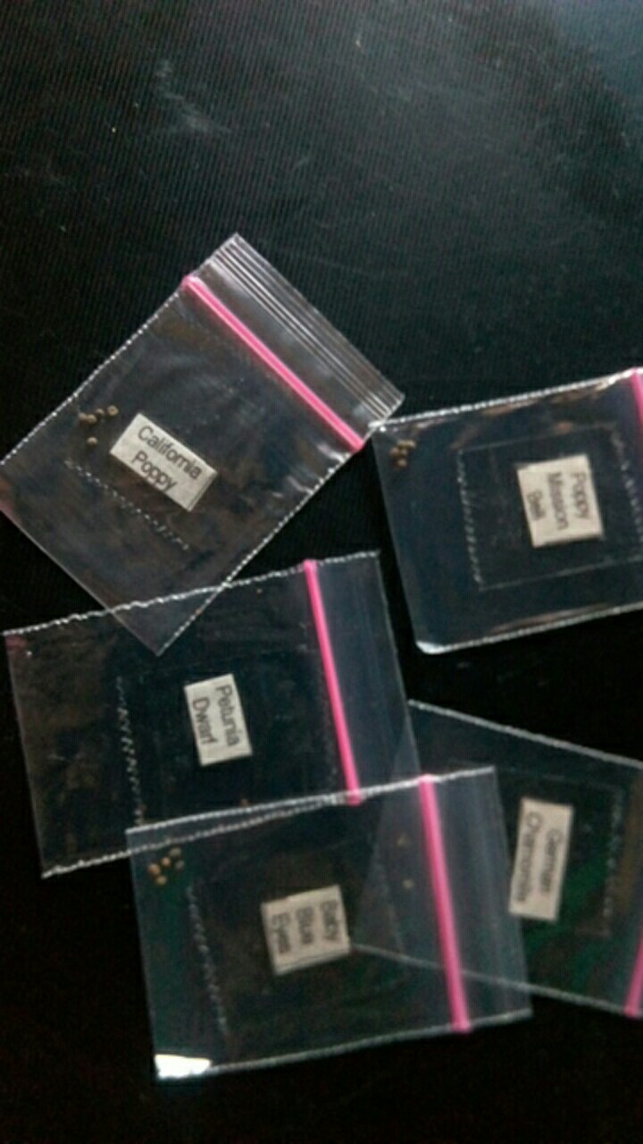 Bu1/5 - Benih Biji Bibit Unggul Kemasan Seribu Ecer Repack Bunga California Poppy Orange