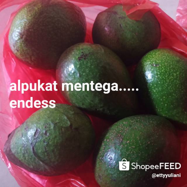 

Alpukat mentega