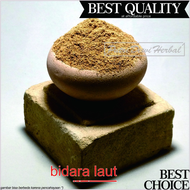 

Batang Bidara Laut Bubuk 1 Kg - 1000 Gram - Serbuk Bidara Putih ( Strychnos lucida powder )