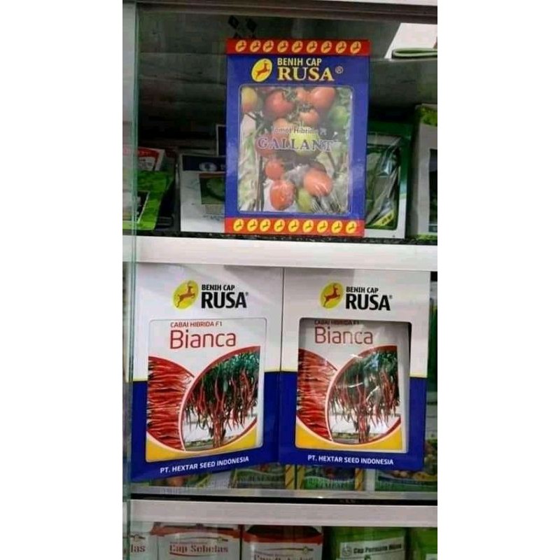 

Cabe kriting Bianca f1