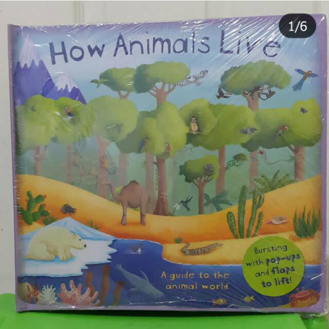 How Animals Live