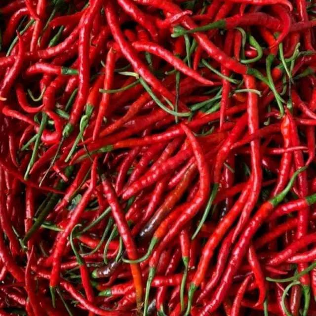 

Cabe/ Cabai Merah Keriting 250g