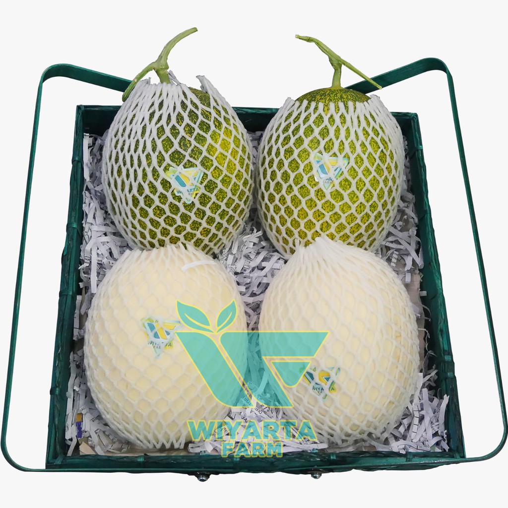 

PARCEL SEGER FRESH 3