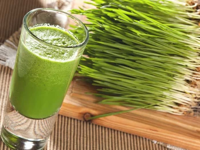 Haira Seed Bibit-Biji Rumput Gandum/Wheatgrass Merah Organik