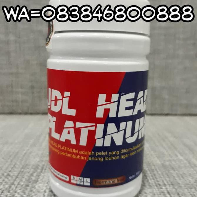 DISKON SPECIAL Pelet JDL Head Platinum