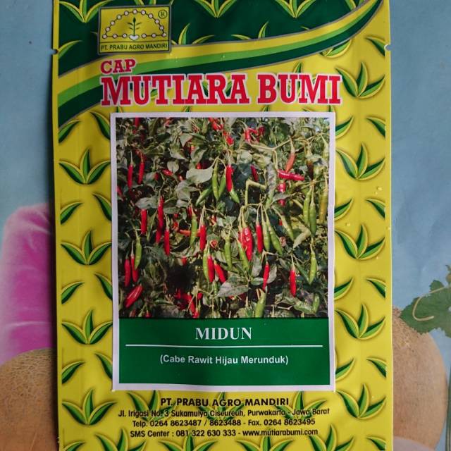 Benih Bibit Cabe Rawit Hijau Unggul MIDUN 10gr Kemasan Pabrik