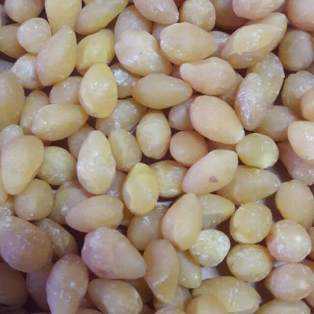 

10 G 50 GR 100 GRAM 白果肉 BUAH KACANG GINKO KERING DRIED GINKGO NUT BAIGUOROU BAIGUO BAI GUO ROU