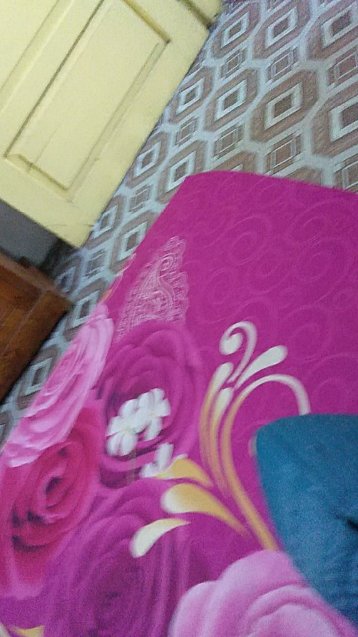 [promo] Tudung Saji Penutup Makanan Dapur Meja Makan Rotan Sintetis Dua Warna Ukuran Standar