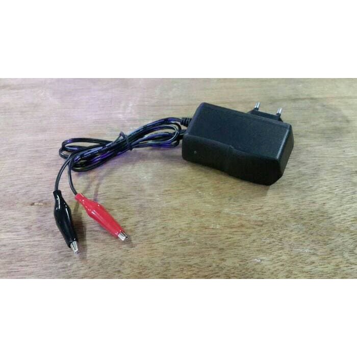 Charger Cas Casan Aki Motor 12V