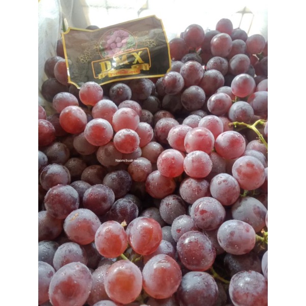 

anggur red globe 1kg
