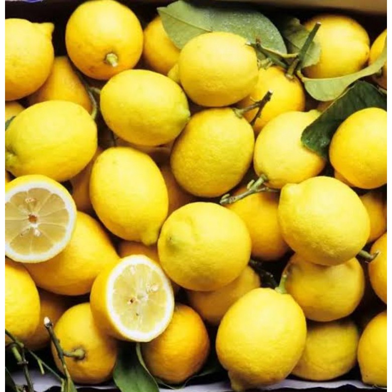 

Lemon california pasti murah dan segar