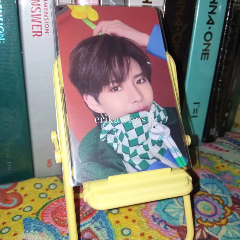 Photocard PC Official Treasure Applewood Haruto Yoshi Manyo Lovely Jaehyuk Mashiho