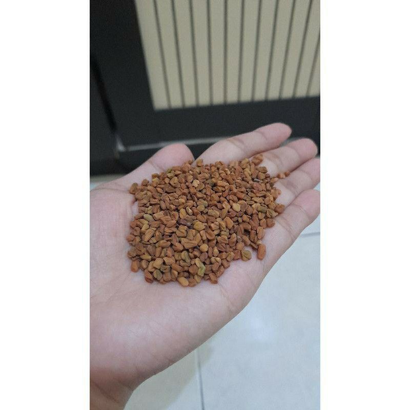 Jual Biji Klabet Pembesar Payudara Dan Pelangsing Perut Original 50 Gr