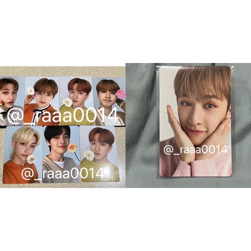 Stray Kids Nacific Bang Chan Lee Know Changbin Han Felix I.N Round 8 10 R8 R10 Photocards