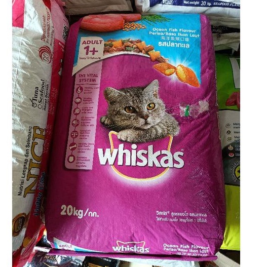 Ekspedisi Whiskas adult Oceanfish 20kg/ makanan kucing whiskas/ Dryfood