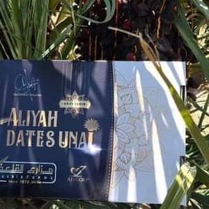 

KURMA AJWA PREMIUM GRADE 1++ 5KG DH654636E