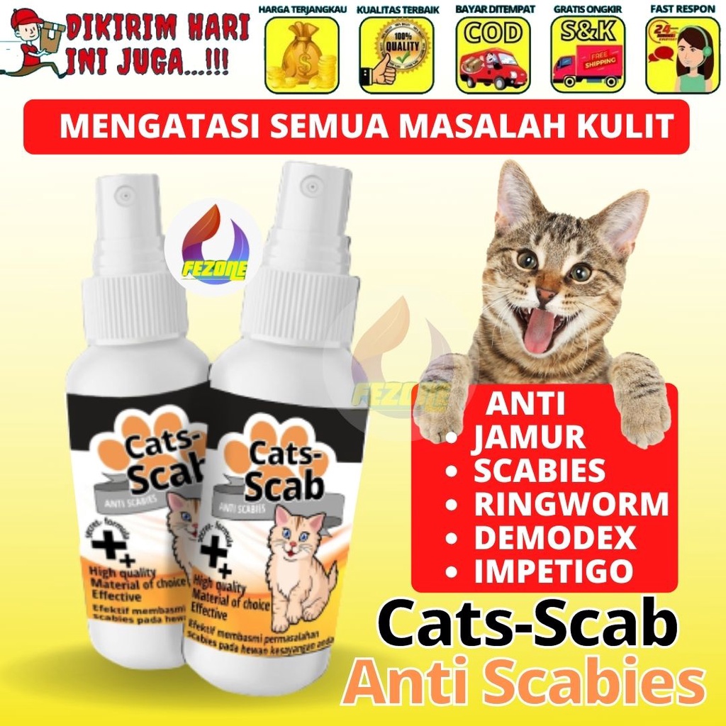 Scab Cats Obat Anti Jamur Kucing Infeksi Kulit Scabies Cat Ampuh Aman Terjilat Kucing FEZONE