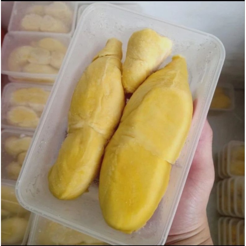 

Durian Montong Sulawesi, Asli Dari Parigi Moutong 500gr, Dijamin Legit dan Bergaransi