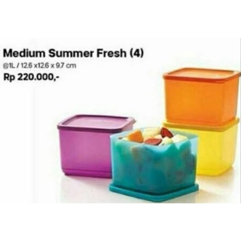 MEDIUM SUMMER FRESH 1 LITER TUPPERWARE (4 PCS)