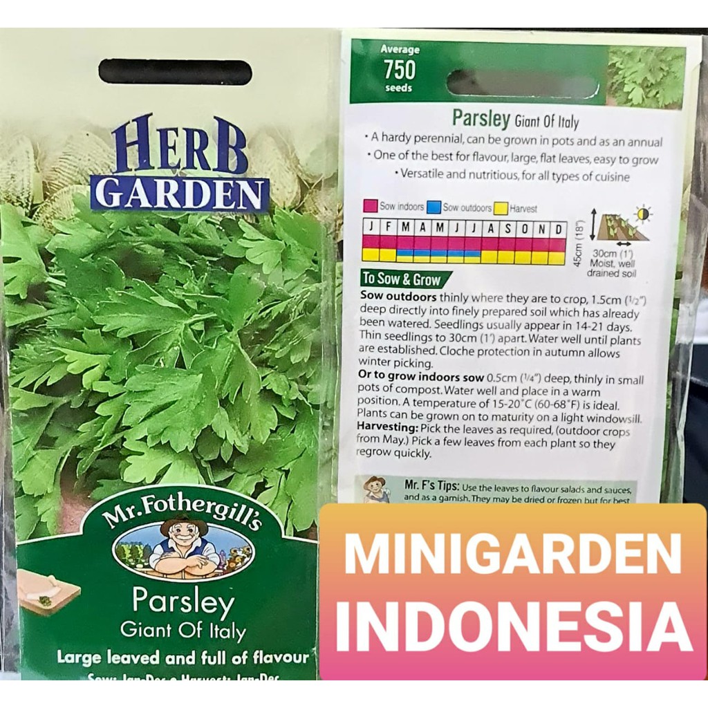 Benih Herbal seledri PARSLEY GIANT OF ITALY PACK 750 BIJI bibit sayur herbal sledri f1 Mr Fothergill's