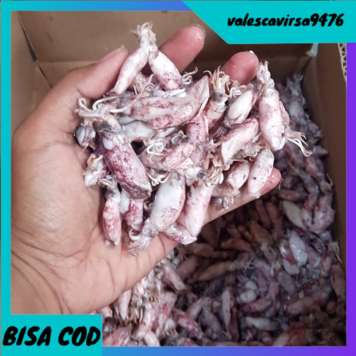 

⭐BISA COD⭐ cumi baby asin/baby cumi asin frozen 1kg - 1/2 Kg