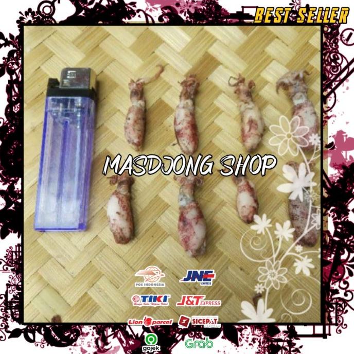 

[COD] CUMI BABY ASIN TELUR KERING SIZE (0,5-2cm)(250gr). [COD]
