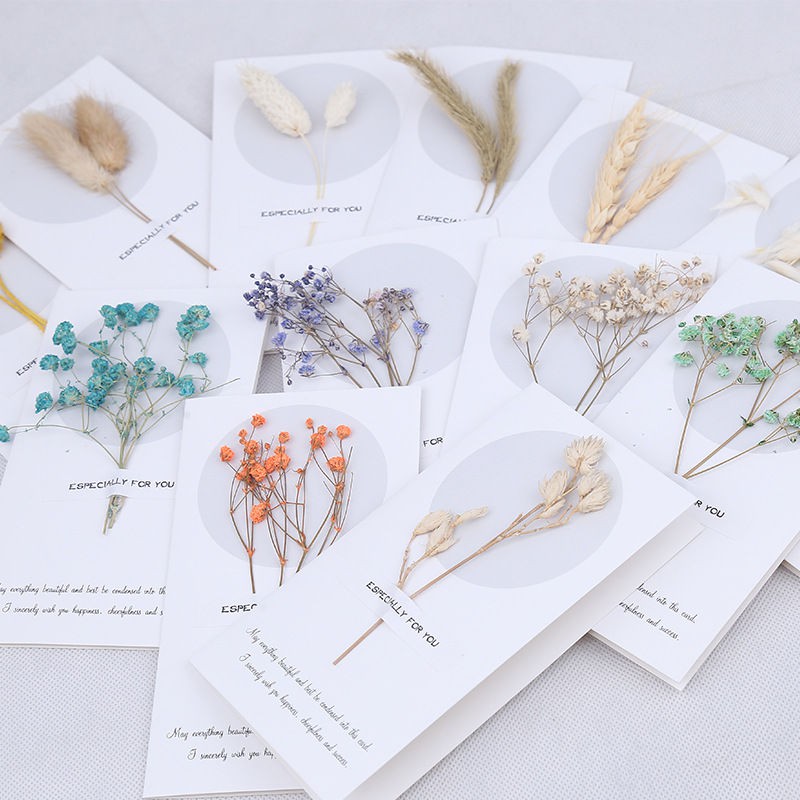 Flower Cards type Round Kartu Ucapan Bunga Lingkaran 