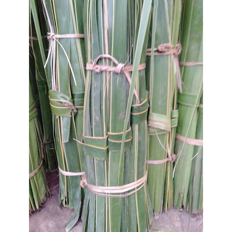 

Kulit Ketupat Belum Di Bentuk Per Ikat