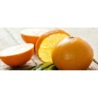 5 benih/bibit/biji jeruk bergamot