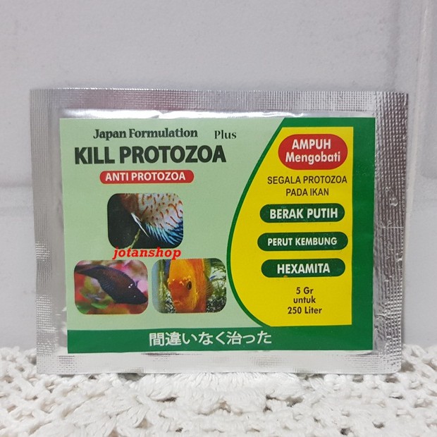 KILL PROTOZOA anti protozoa obat ikan hias perut kembung berak putih hexamita