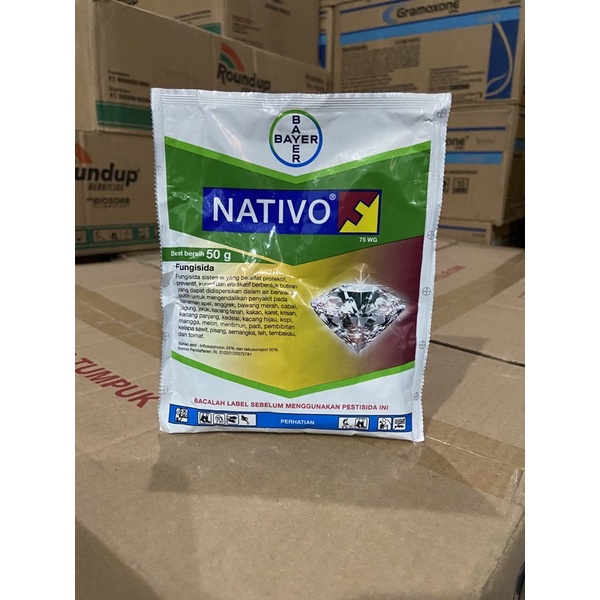 nativo 50gram bayer nativo fungisida nativo obat padi sawah