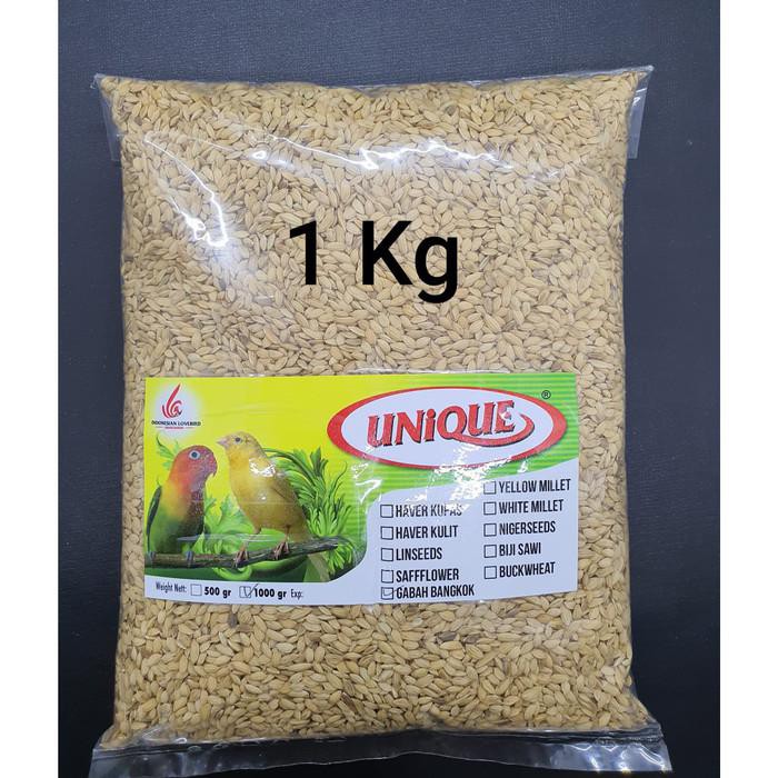 

Gabah Bangkok 1 Kg Gabah Lampung