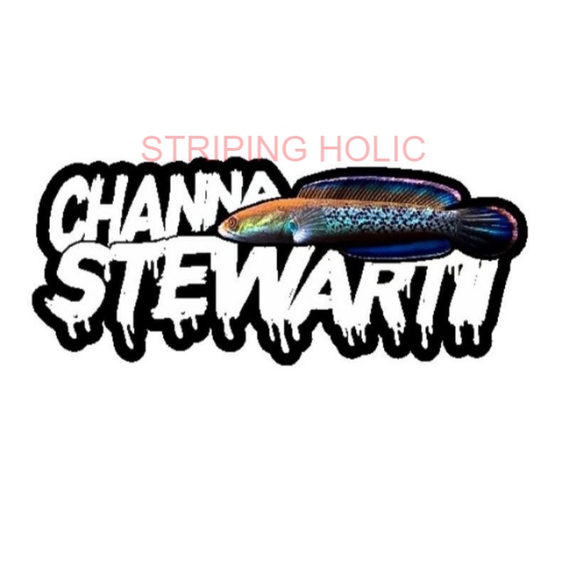 STIKER CHANNA STEWARTII