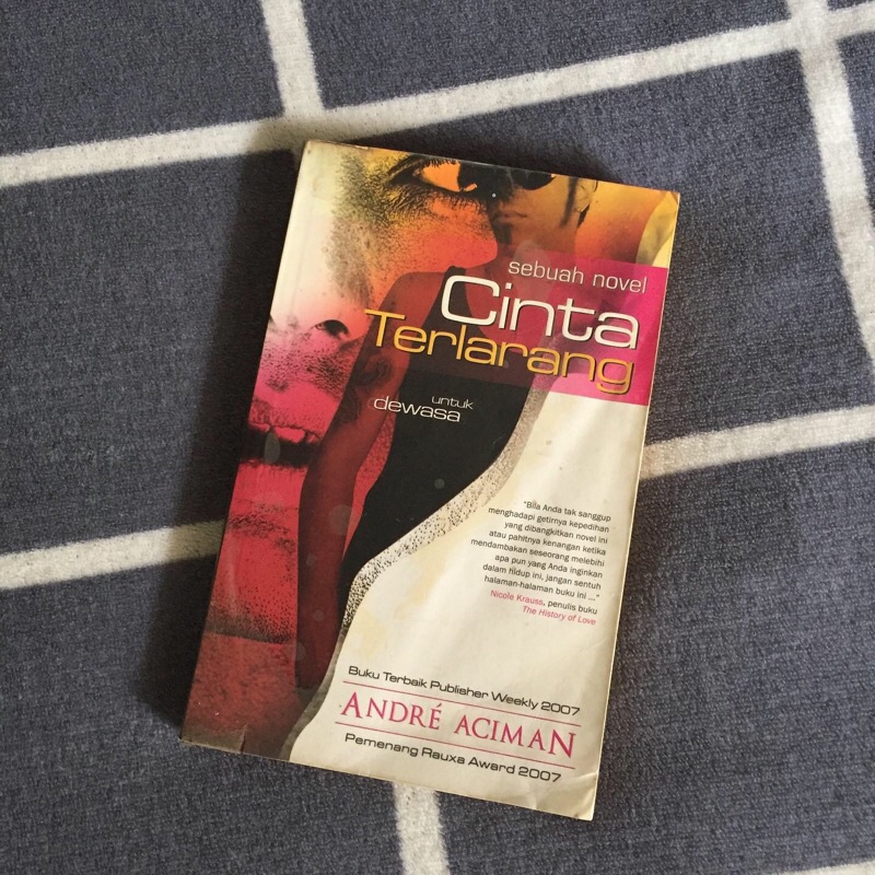 Cinta Terlarang by Andre Aciman (Call Me by Your Name)