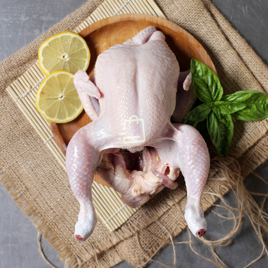 

Ayam Potong UTUH / Per Ekor / Mracang Market