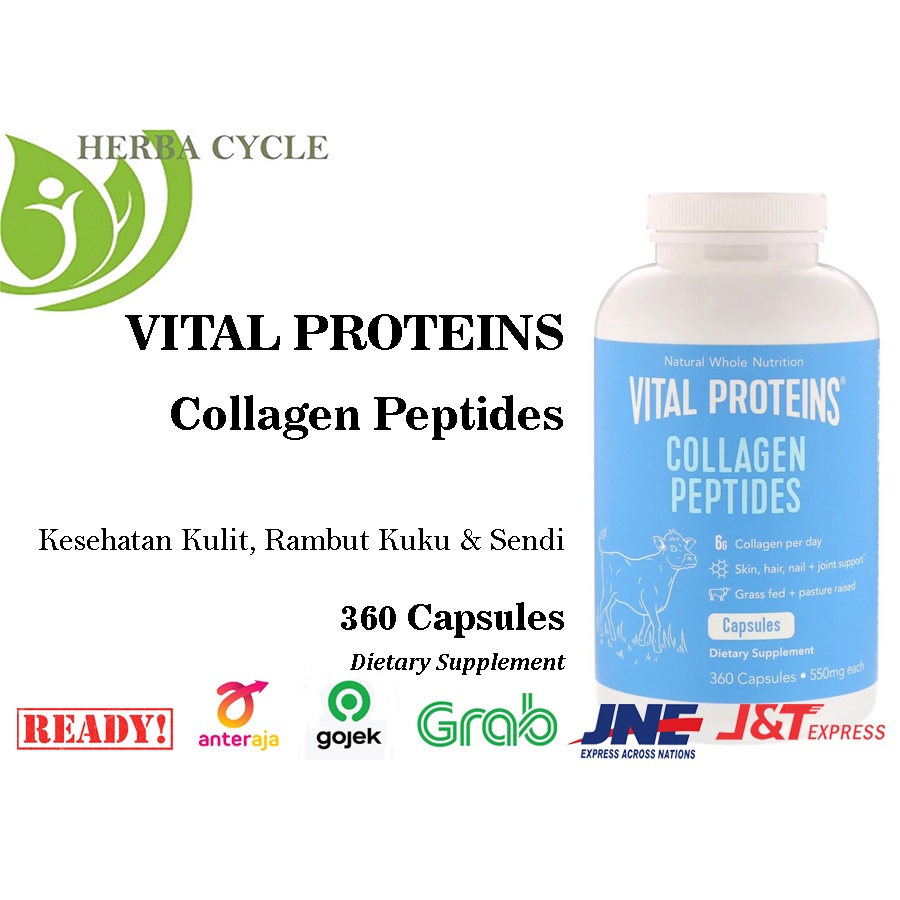 Vital Proteins Collagen Peptides unflavored 600 MG 360 Capsules ORI USA