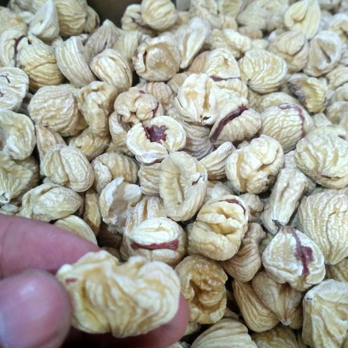 

Big Sale Kacang Lakci Chestnut 1/2 kg Promo Awal tahun