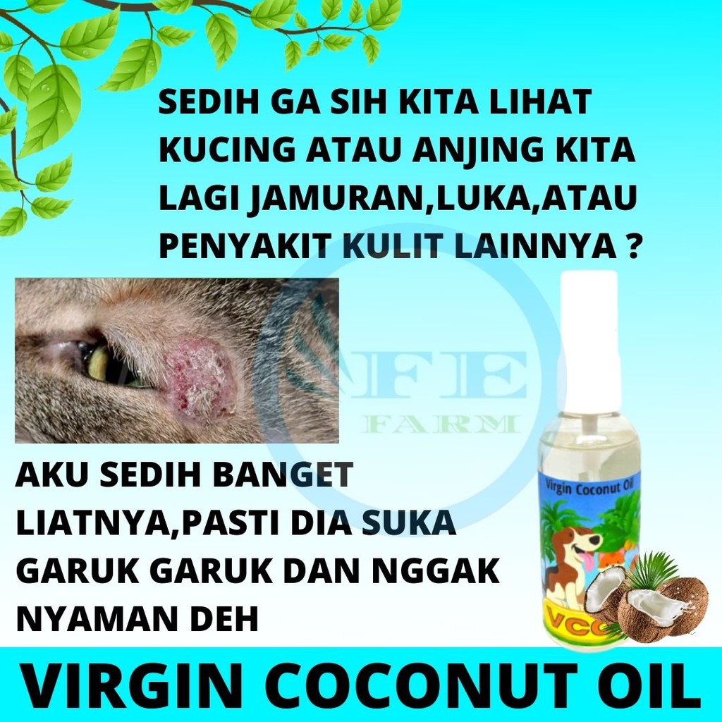 OBAT JAMUR SCABIES SPRAY KUCING MINYAK KELAPA MURNI VCO 60 ml FEFARM