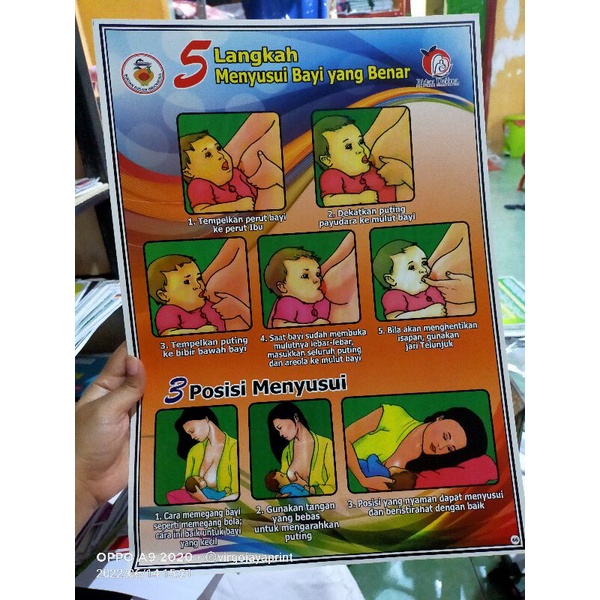 

(66) POSTER 5 LANGKAH MENYUSUI YG BENAR