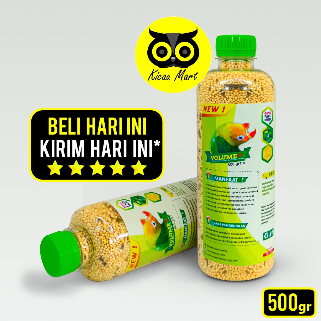 Pakan Harian Lomba Burung Lovebird Paud Milet Volume+ Plus Makanan Millet Settingan Lovebird Juara Pakan Milet Lovebird Baby Balibu Juara Lomba Gacor