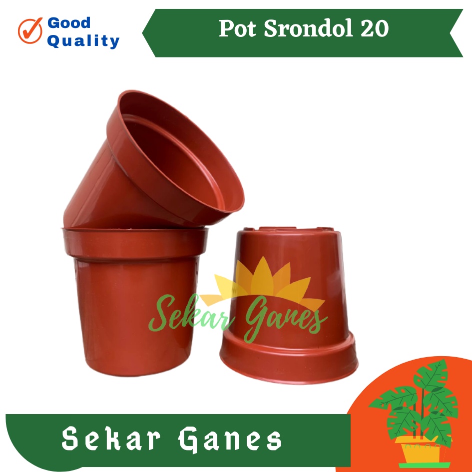 Pot Tinggi Srondol 20 Merah BataTerracota Terracotta Merah Coklat - Pot Tinggi Usa Eiffel Effiel 18 20 25 Lusinan Pot Tinggi Tirus 15 18 20 30 35 40 50 Cm Paket murah isi 1 lusin pot bunga plastik lusinan pot tanaman Pot Bibit Besar Mini Kecil Pot Srondol