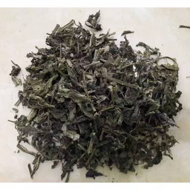 

Daun sambung nyawa kering /africa 100gram