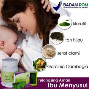 Pelangsing Untuk Bumil Busui Fresh Slim Aman Untuk Ibu Hamil Menyusui Isi 60 Kapsul Shopee Indonesia