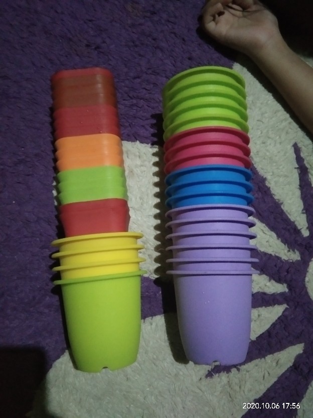 Pot Bunga Tanaman Nkt Kotak 7 Cm
